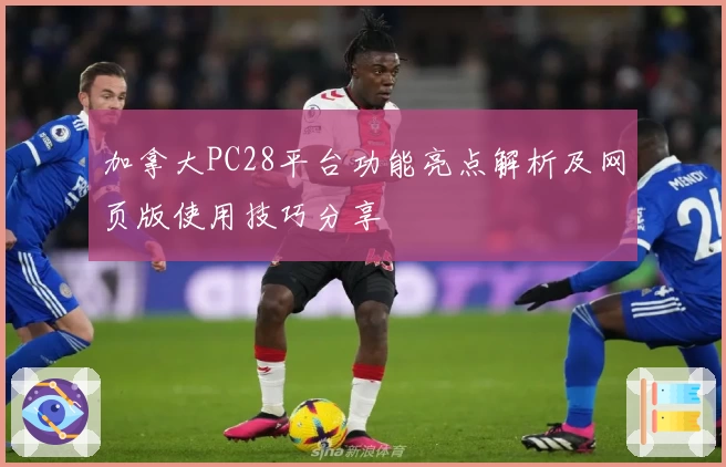 加拿大PC28平台功能亮点解析及网页版使用技巧分享