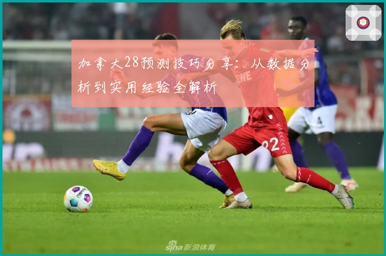 加拿大28预测技巧分享：从数据分析到实用经验全解析