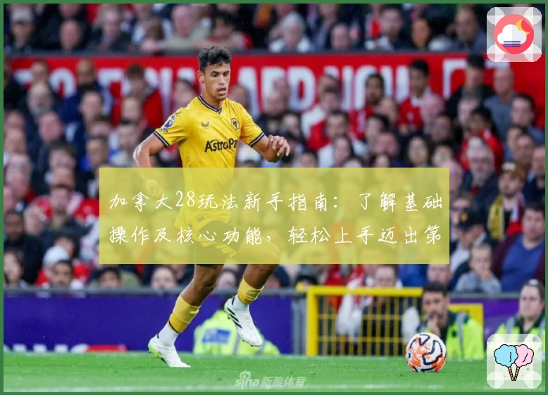 加拿大28玩法新手指南：了解基础操作及核心功能，轻松上手迈出第一步