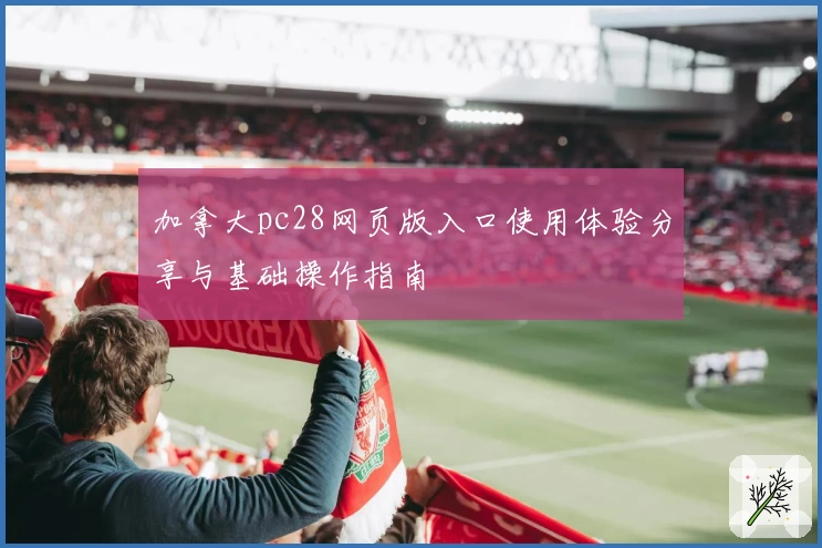 加拿大pc28网页版入口使用体验分享与基础操作指南