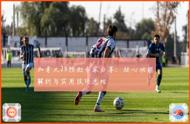 加拿大28预测专家分享：核心功能解析与实用技巧总结