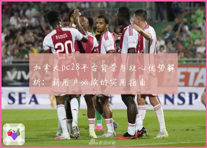 加拿大pc28平台背景与核心优势解析：新用户必读的实用指南
